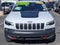 2020 Jeep Cherokee Trailhawk Elite
