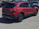 2022 Ford Escape SEL Plug-In Hybrid