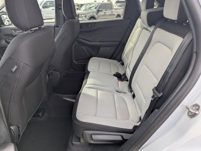 2026 Ford Escape Active®