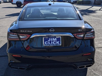 2023 Nissan Maxima SV